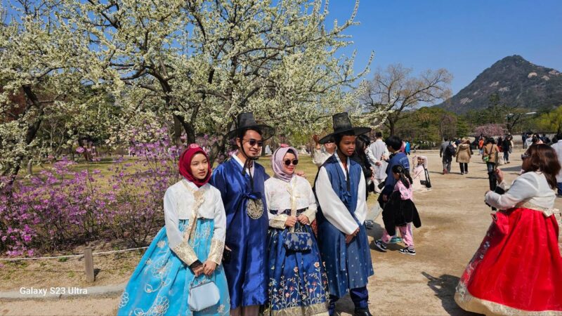 Korea Halal Tour Muslim Friendly